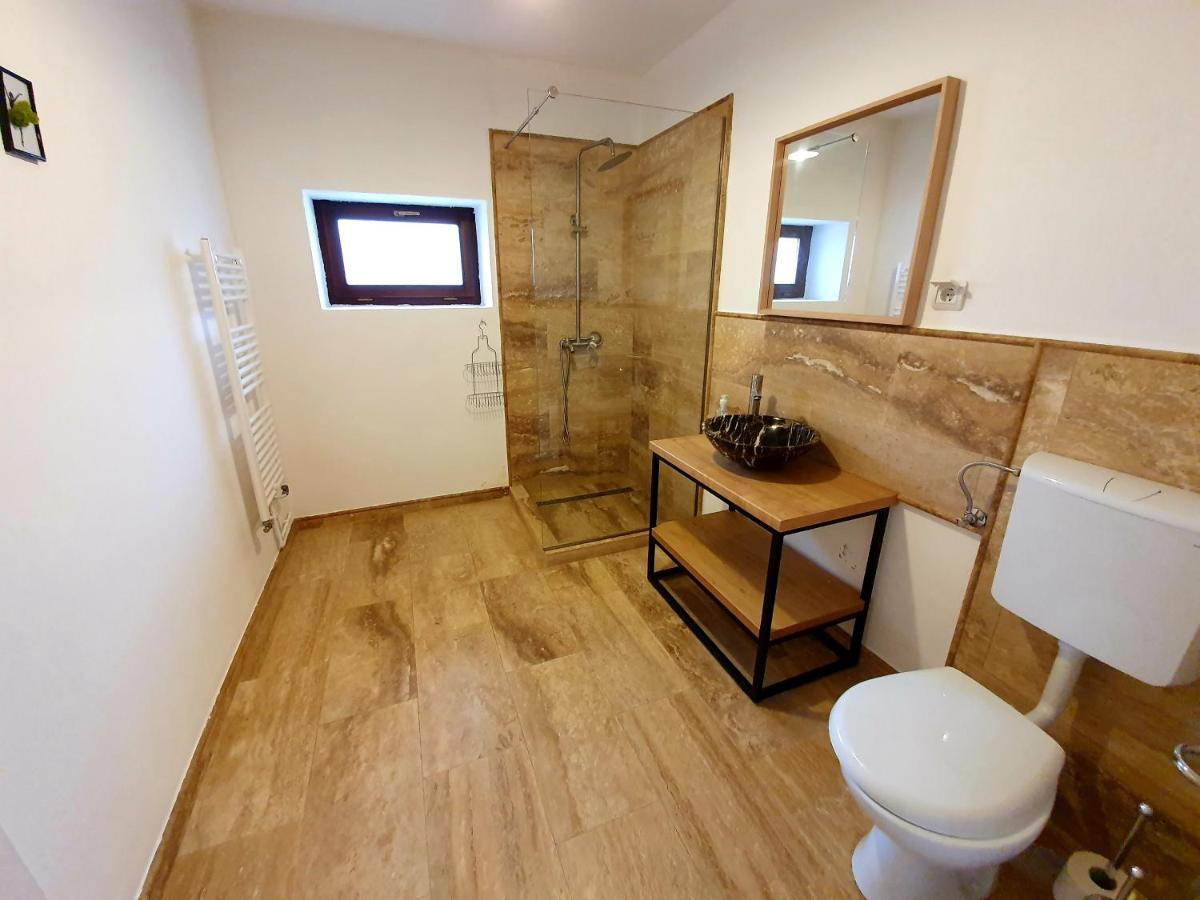 Maximus Apartments Sighisoara Luaran gambar