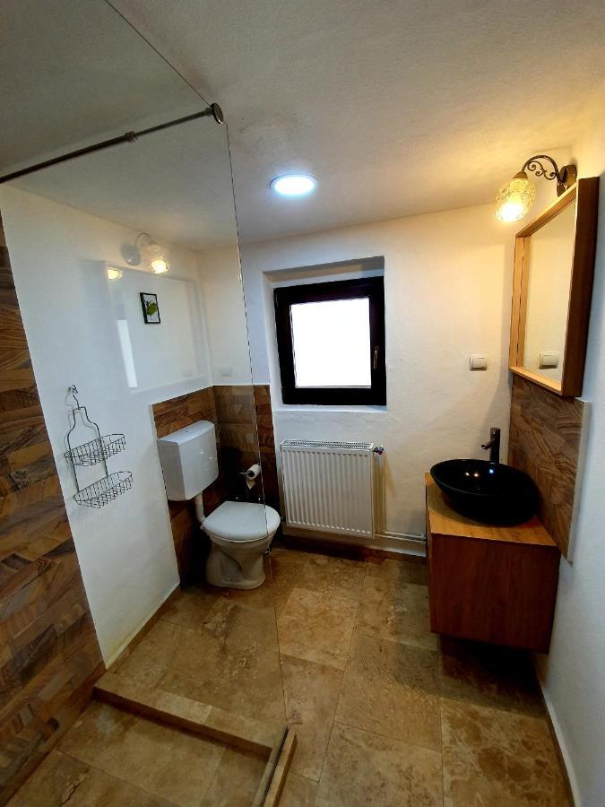 Maximus Apartments Sighisoara Luaran gambar